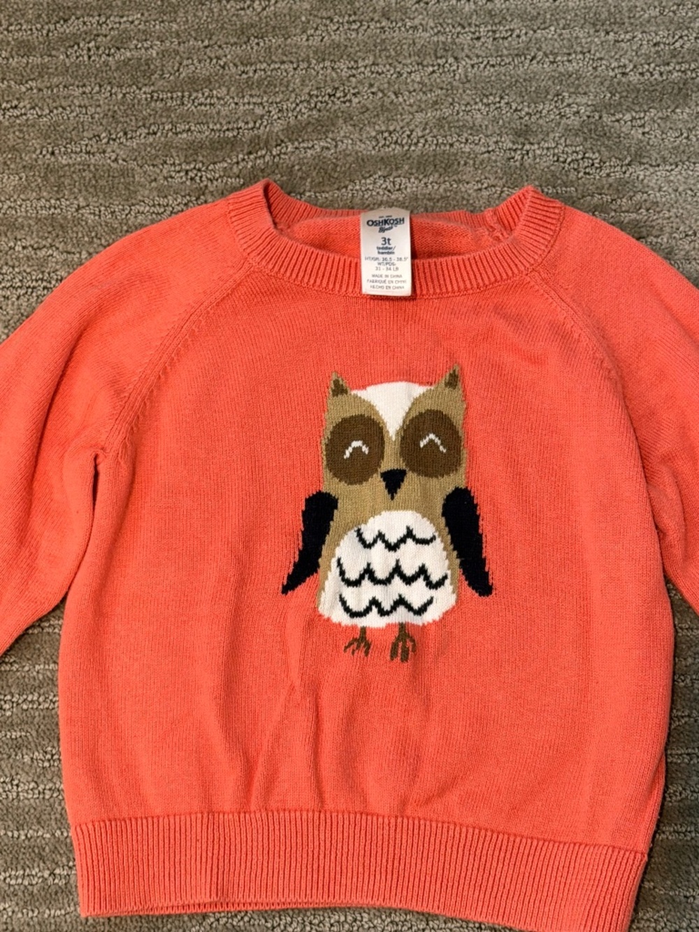 Osh Kosh Bgosh Toddler Owl Sweater Size 3T